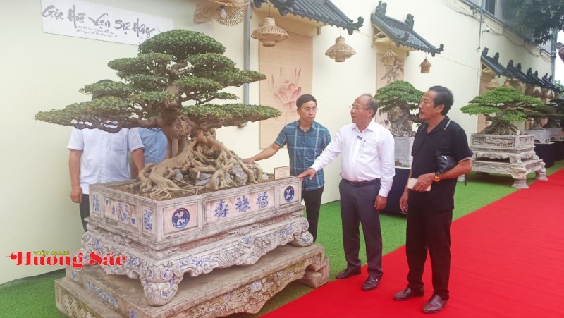 Hà Nội: Khai mạc Triển lãm Cây cảnh Nghệ thuật Xuân 2026