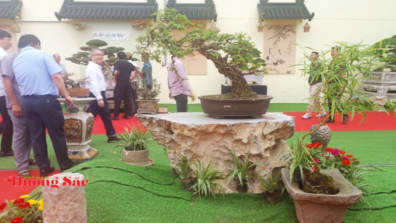 Hà Nội: Khai mạc Triển lãm Cây cảnh Nghệ thuật Xuân 2026