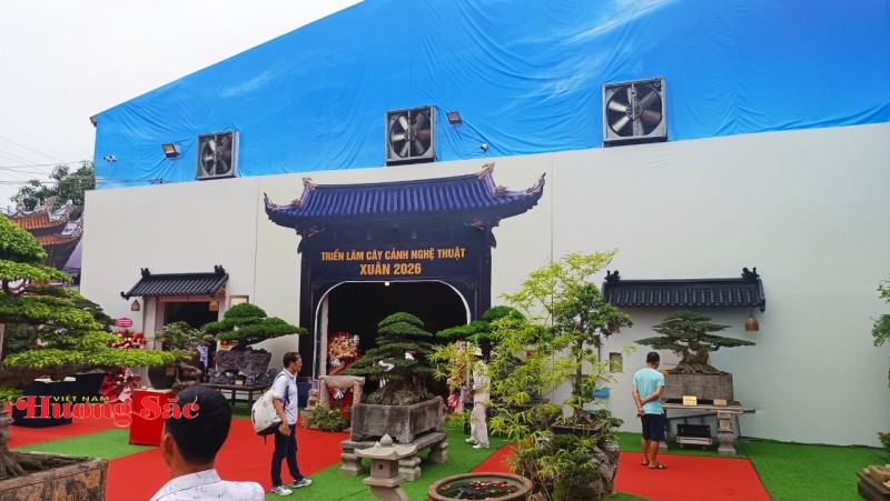 Hà Nội: Khai mạc Triển lãm Cây cảnh Nghệ thuật Xuân 2026