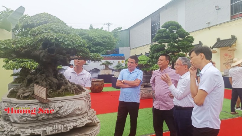 Hà Nội: Khai mạc Triển lãm Cây cảnh Nghệ thuật Xuân 2026