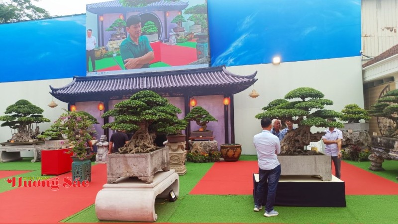 Hà Nội: Khai mạc Triển lãm Cây cảnh Nghệ thuật Xuân 2026