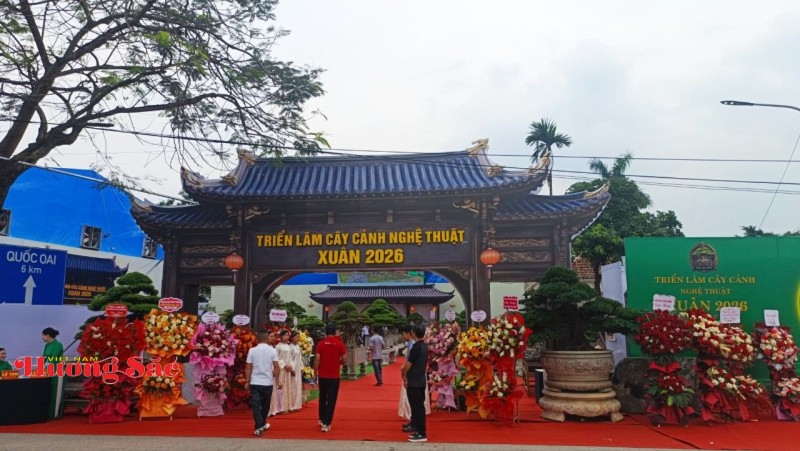 Hà Nội: Khai mạc Triển lãm Cây cảnh Nghệ thuật Xuân 2026