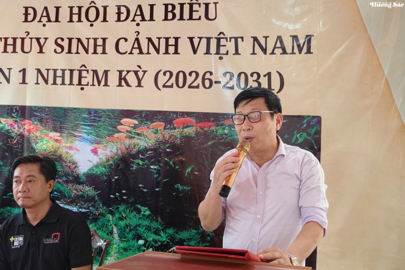 Ra mắt Câu lạc bộ Thủy sinh cảnh Việt Nam: Bước ngoặt cho cộng đồng