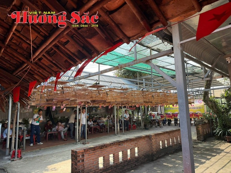 Rộn ràng tiếng hót mừng đại lễ: CLB Chào mào Bình Dương kỷ niệm 15 năm thành lập và trao quà thiện nguyện