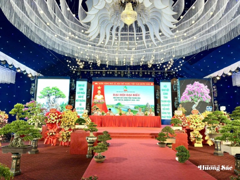 Đại hội Đại biểu Hội SVC tỉnh Thanh Hóa: Đoàn kết, dân chủ, đổi mới, phát triển Đại hội Đại biểu Hội SVC tỉnh Thanh Hóa: Đoàn kết, dân chủ, đổi mới, phát triển