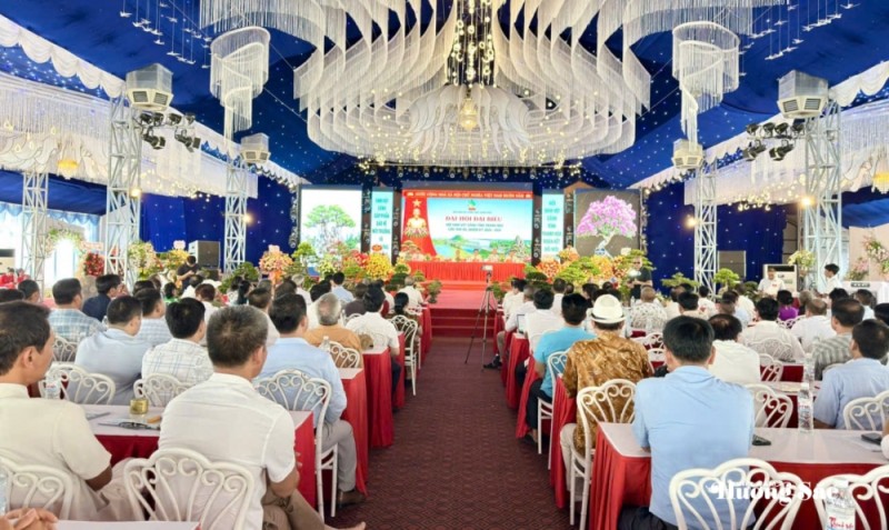Đại hội Đại biểu Hội SVC tỉnh Thanh Hóa: Đoàn kết, dân chủ, đổi mới, phát triển Đại hội Đại biểu Hội SVC tỉnh Thanh Hóa: Đoàn kết, dân chủ, đổi mới, phát triển