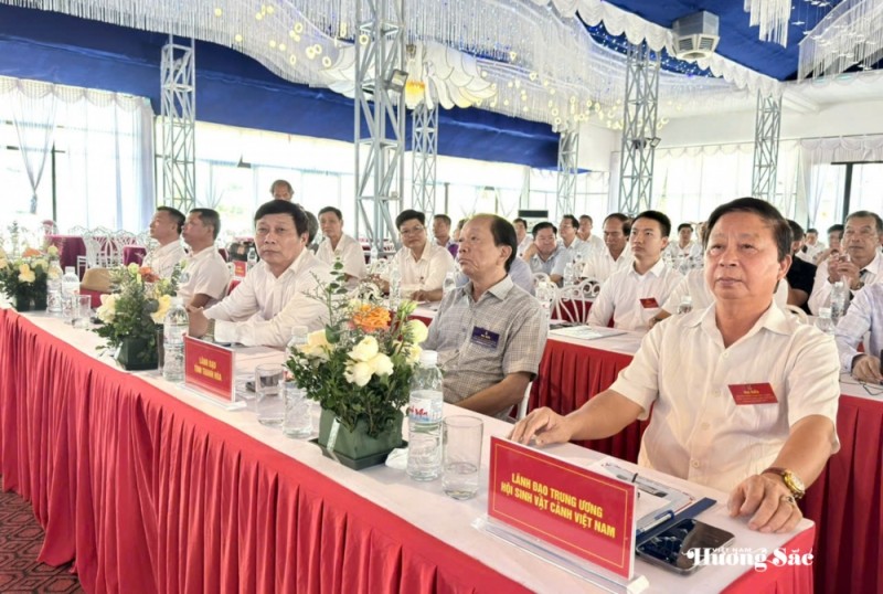 Đại hội Đại biểu Hội SVC tỉnh Thanh Hóa: Đoàn kết, dân chủ, đổi mới, phát triển Đại hội Đại biểu Hội SVC tỉnh Thanh Hóa: Đoàn kết, dân chủ, đổi mới, phát triển