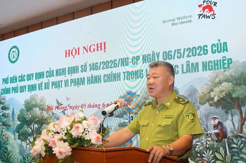 Hướng dẫn thực hiện Nghị định mới về xử phạt vi phạm hành chính trong lĩnh vực lâm nghiệp Hướng dẫn thực hiện Nghị định mới về xử phạt vi phạm hành chính trong lĩnh vực lâm nghiệp