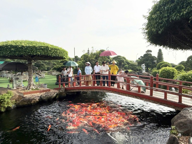 Hội Sinh vật cảnh Việt Nam tăng cường hợp tác với Hiệp hội Bonsai & Nghệ thuật đá cảnh Suiseki Malaysia