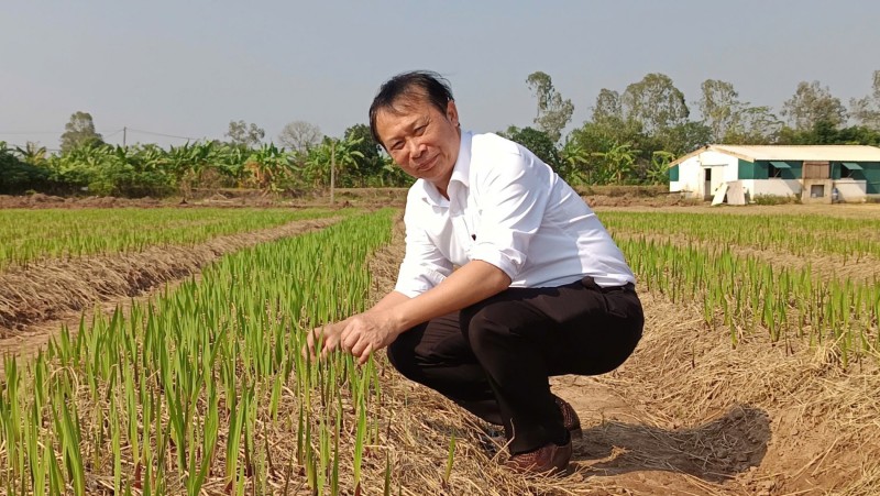 Kỳ 1: Nghị định 214/2026/NĐ-CP: Kỳ vọng siết chặt quản lý nhưng thực thi còn nhiều thách thức Kỳ 1: Nghị định 214/2026/NĐ-CP: Kỳ vọng siết chặt quản lý nhưng thực thi còn nhiều thách thức