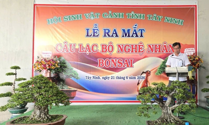 Ra mắt Câu lạc bộ Nghệ nhân Bonsai Tây Ninh – Dấu mốc mới của phong trào sinh vật cảnh địa phương