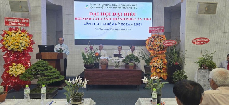 Đại hội đại biểu Hội Sinh vật cảnh TP Cần Thơ lần thứ I – Dấu mốc mở đầu nhiệm kỳ phát triển mới Đại hội đại biểu Hội Sinh vật cảnh TP Cần Thơ lần thứ I – Dấu mốc mở đầu nhiệm kỳ phát triển mới