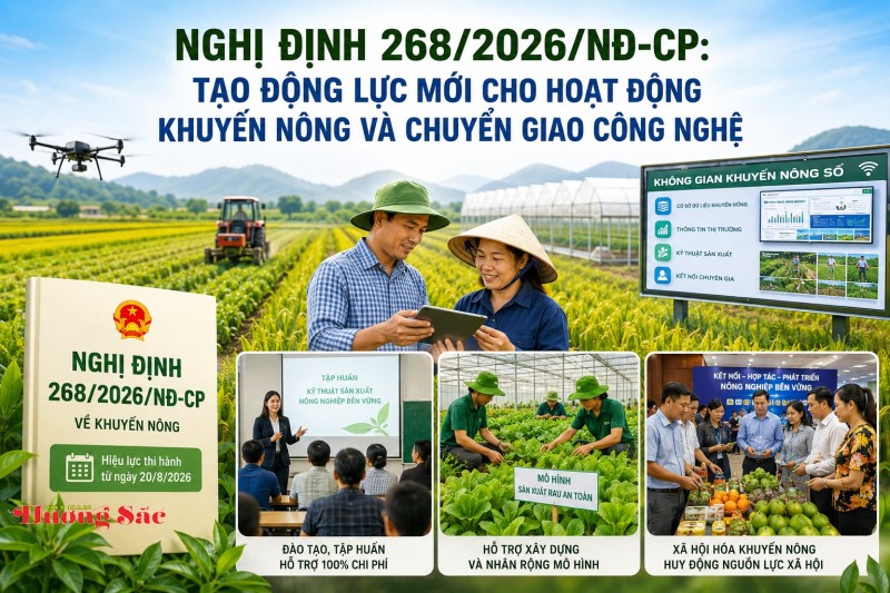 Nghị định 268/2026/NĐ-CP: Tạo động lực mới cho hoạt động khuyến nông và chuyển giao công nghệ