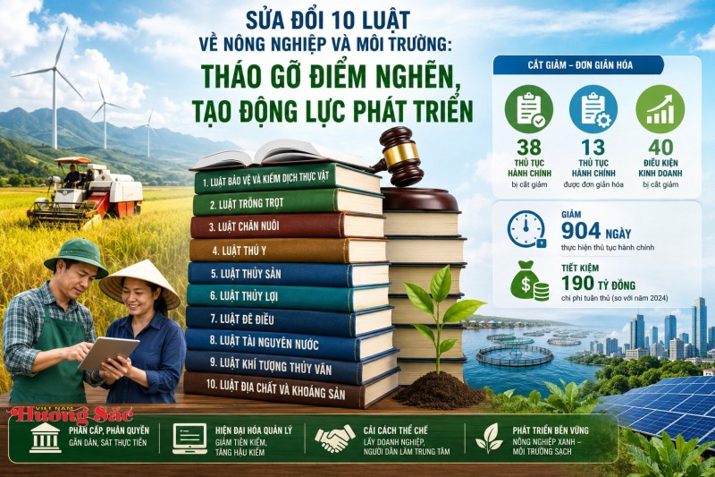 Sửa đổi 10 luật về nông nghiệp và môi trường: Tháo gỡ điểm nghẽn, tạo động lực phát triển Sửa đổi 10 luật về nông nghiệp và môi trường: Tháo gỡ điểm nghẽn, tạo động lực phát triển