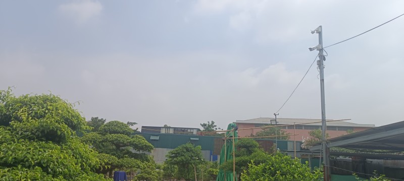 Vụ cây cảnh chết bất thường tại vườn Triều Khúc: Ghi nhận từ hiện trường và người trong cuộc