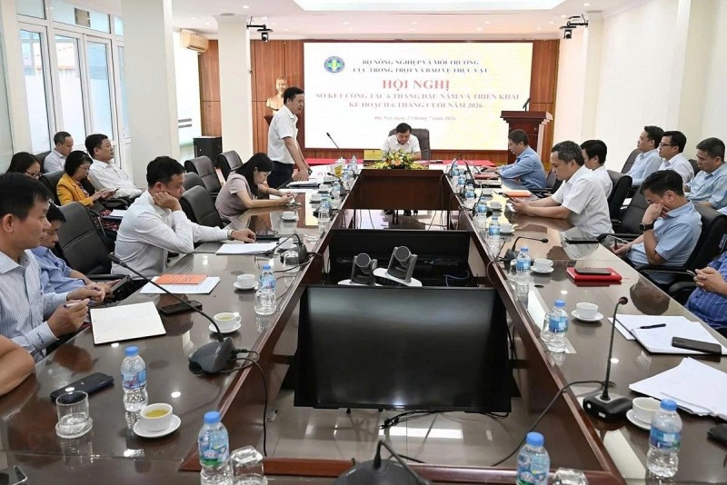 Mã số vùng trồng trở thành hạ tầng của xuất khẩu nông sản