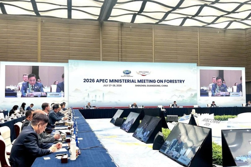 Việt Nam cùng APEC kiến tạo tương lai xanh từ quản trị rừng bền vững
