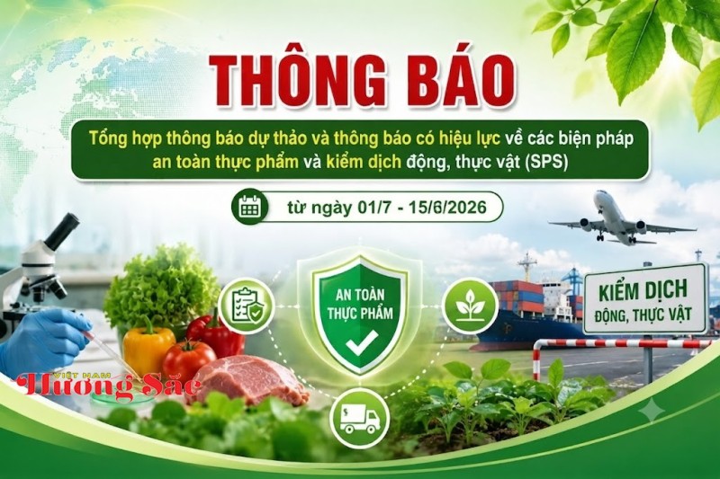 Văn phòng SPS Việt Nam cảnh báo 51 quy định mới có thể ảnh hưởng xuất khẩu nông, lâm, thủy sản