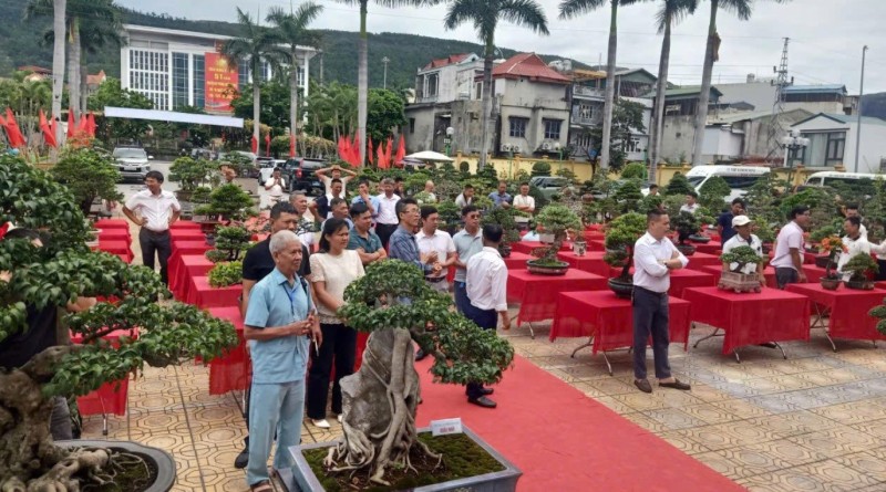 Quảng Ninh: Nâng chất lượng “làm nghề” – nền tảng xây dựng thương hiệu sinh vật cảnh Quảng Ninh: Nâng chất lượng “làm nghề” – nền tảng xây dựng thương hiệu sinh vật cảnh