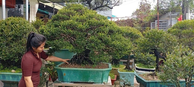 Quảng Ninh: Nâng chất lượng “làm nghề” – nền tảng xây dựng thương hiệu sinh vật cảnh Quảng Ninh: Nâng chất lượng “làm nghề” – nền tảng xây dựng thương hiệu sinh vật cảnh