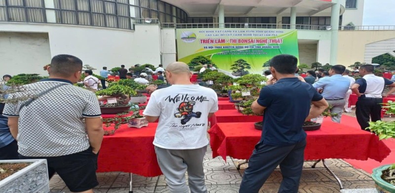 Quảng Ninh: Nâng chất lượng “làm nghề” – nền tảng xây dựng thương hiệu sinh vật cảnh Quảng Ninh: Nâng chất lượng “làm nghề” – nền tảng xây dựng thương hiệu sinh vật cảnh