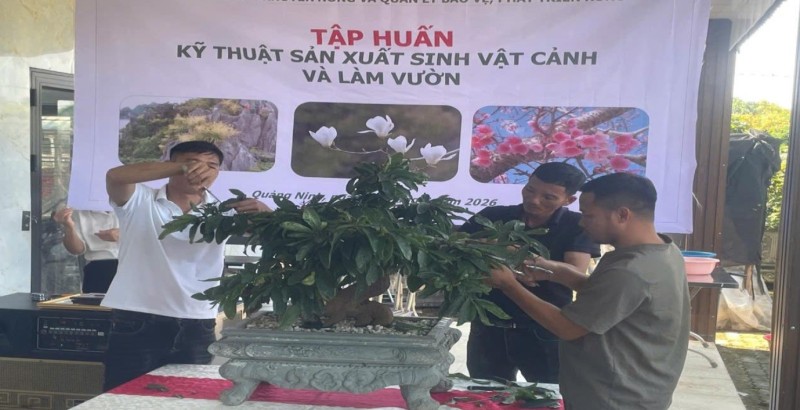 Quảng Ninh: Nâng chất lượng “làm nghề” – nền tảng xây dựng thương hiệu sinh vật cảnh Quảng Ninh: Nâng chất lượng “làm nghề” – nền tảng xây dựng thương hiệu sinh vật cảnh