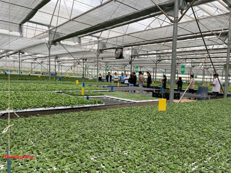 Sinh vật cảnh Hải Phòng trước cơ hội từ chính sách phát triển nông nghiệp hàng hóa
