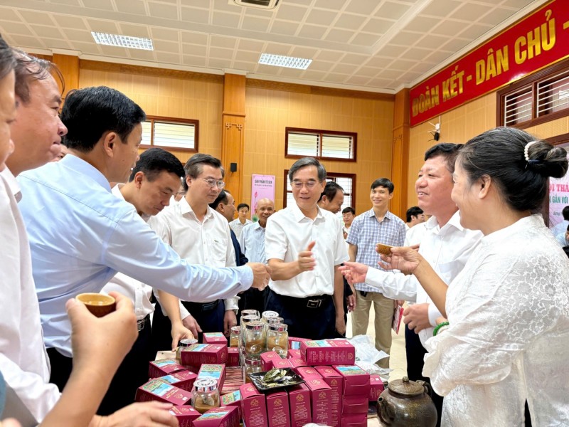 Sen Việt: Từ giá trị truyền thống đến ngành hàng đa giá trị