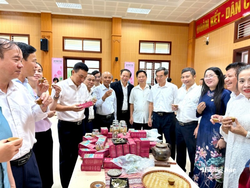 Sen Việt: Từ giá trị truyền thống đến ngành hàng đa giá trị