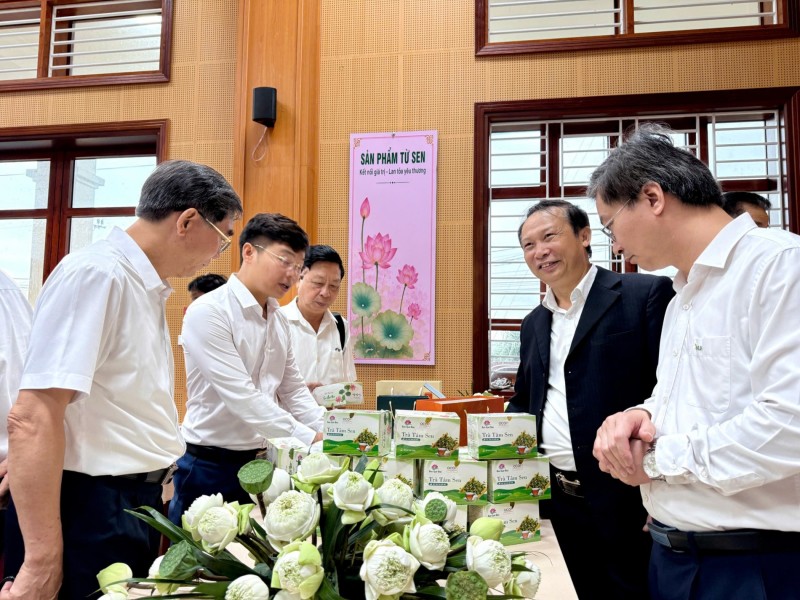 Sen Việt: Từ giá trị truyền thống đến ngành hàng đa giá trị