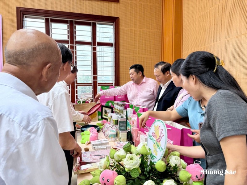 Sen Việt: Từ giá trị truyền thống đến ngành hàng đa giá trị