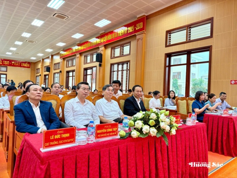 Sen Việt: Từ giá trị truyền thống đến ngành hàng đa giá trị