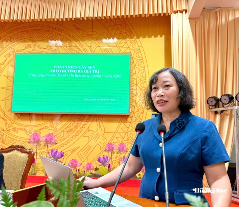 Sen Việt: Từ giá trị truyền thống đến ngành hàng đa giá trị
