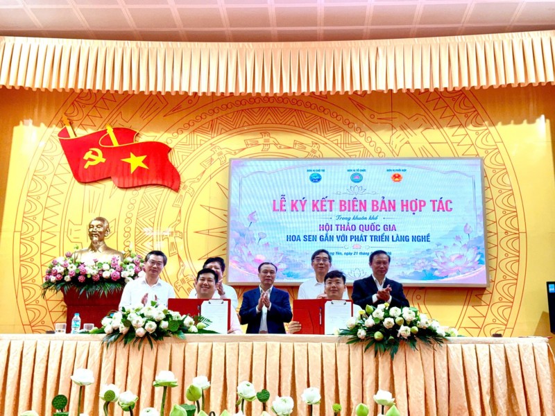 Sen Việt: Từ giá trị truyền thống đến ngành hàng đa giá trị