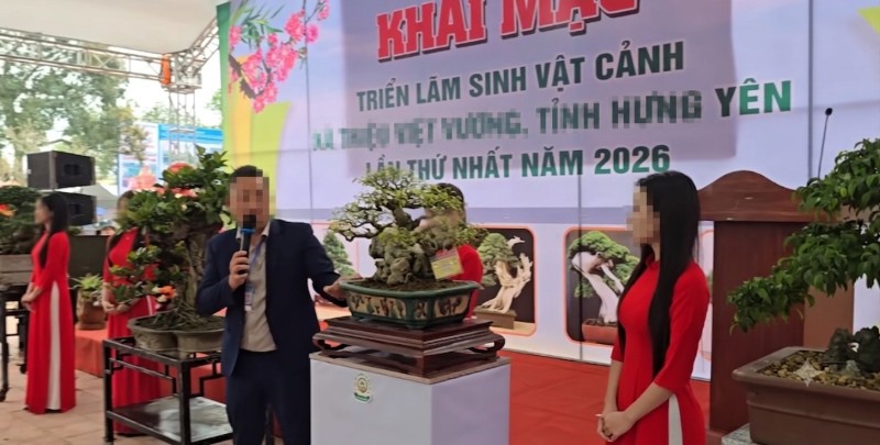 Rủi ro và lỗ hổng pháp lý từ các phiên đấu giá cây cảnh tự phát tại các triển lãm Rủi ro và lỗ hổng pháp lý từ các phiên đấu giá cây cảnh tự phát tại các triển lãm