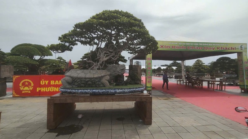 Hội chợ triển lãm Sinh vật cảnh Quảng Ngãi mở rộng 2026: Dấu ấn xã hội hóa và sức lan tỏa của phong trào