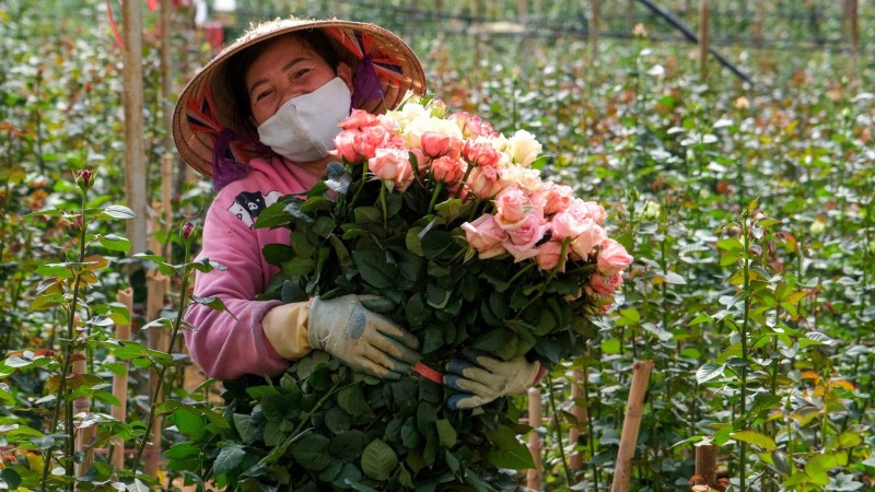 Festival Hoa Đà Lạt mở rộng không gian, kết nối chuỗi giá trị ngành hoa Festival Hoa Đà Lạt mở rộng không gian, kết nối chuỗi giá trị ngành hoa