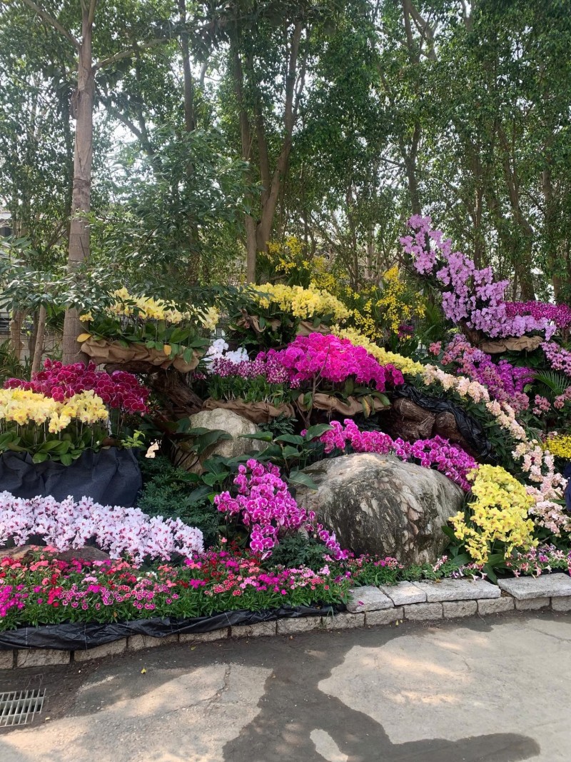 Festival Hoa Đà Lạt mở rộng không gian, kết nối chuỗi giá trị ngành hoa Festival Hoa Đà Lạt mở rộng không gian, kết nối chuỗi giá trị ngành hoa