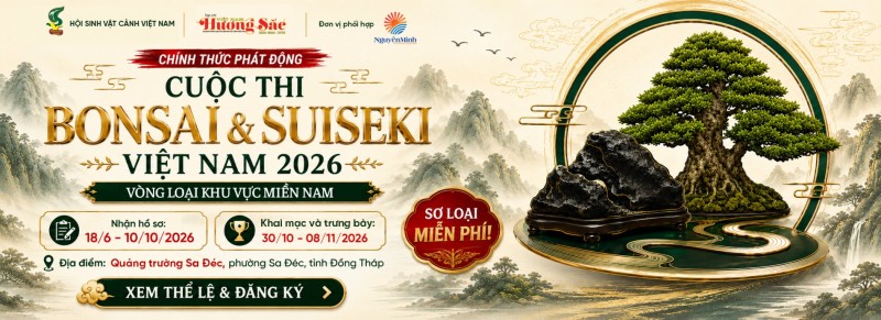 Công bố bộ nhận diện chính thức cuộc thi Bonsai & Suiseki Việt Nam 2026 – Vòng loại khu vực Miền Nam tại Sa Đéc