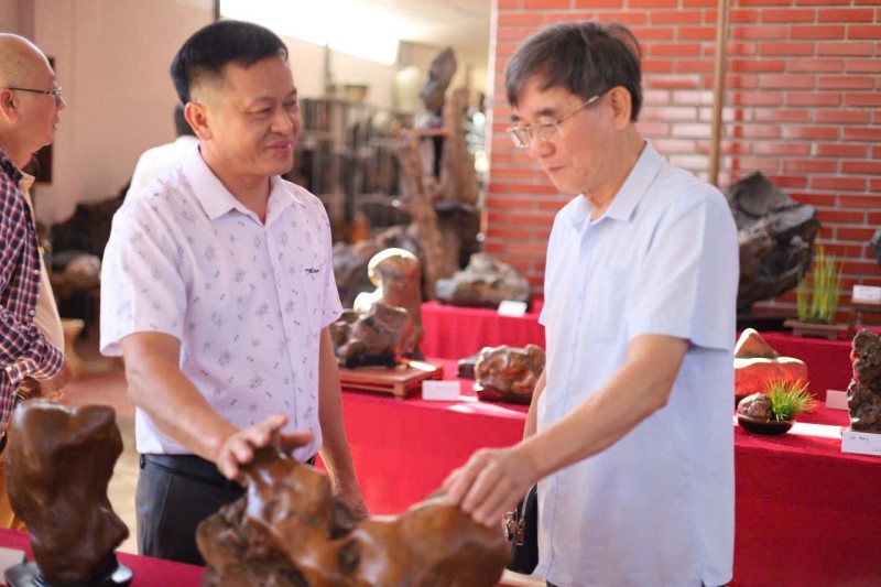 Đại hội thành lập CLB Đá cảnh nghệ thuật – Suiseki Thạch Việt: dấu mốc mới trong hành trình phát triển nghệ thuật đá cảnh Việt Nam