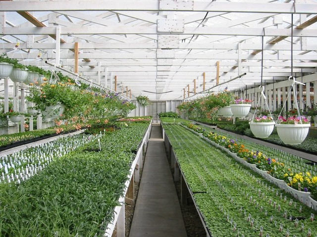 Hà Nội đối thoại với nông dân, tháo gỡ khó khăn trong phát triển nông nghiệp xanh, bền vững Hà Nội đối thoại với nông dân, tháo gỡ khó khăn trong phát triển nông nghiệp xanh, bền vững