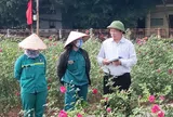 Triển vọng đưa hồng cổ Sa Pa 'xuống phố’