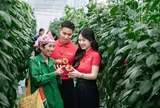 Bộ Nông nghiệp và Môi trường công bố thủ tục kiểm dịch thực vật sửa đổi