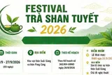 Festival Trà Shan tuyết Lào Cai năm 2026: Quảng bá giá trị chè cổ thụ gắn với văn hóa vùng cao