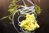 Singapore Garden Festival 2026: điểm hẹn của những tuyệt tác cắm hoa quốc tế