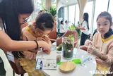 Câu lạc bộ Thủy sinh cảnh Việt Nam phối hợp cùng The Institute of Viécie tổ chức Workshop Terrarium mang tên CHẠM