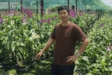 TP.HCM: Không cần đất rộng, vẫn kiếm tiền tỷ nhờ trồng lan