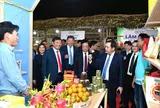 OCOP 5 sao tiếp tục được đánh giá ở cấp quốc gia để bảo đảm thương hiệu
