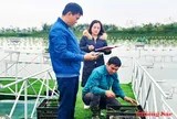 Lấy ý kiến dự thảo Nghị định thay thế Nghị định 83/2018/NĐ-CP về khuyến nông