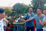 Đá cảnh Duy Xuyên “xuất ngoại”: Từ dòng Thu Bồn đến sân khấu toàn cầu